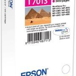 Ink Epson T70134010 Magenta with pigment ink -Size XXL 3.4k pages