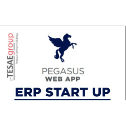 Pegasus Web App ERP Start UP